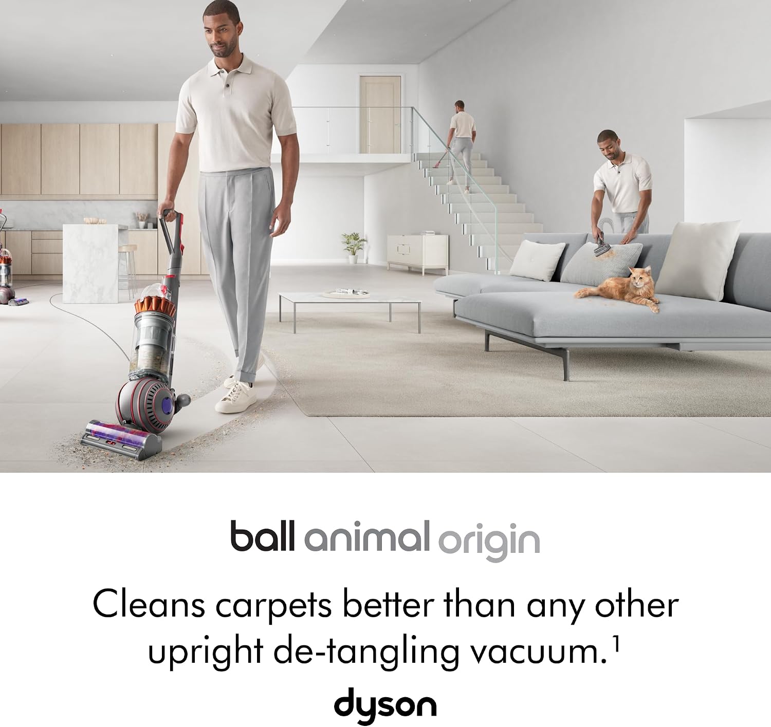 Dyson Ball™ Animal Origin Vacuum Cleaner, hair de-tangling, deep cleaning with pets (Nickel/Silver)