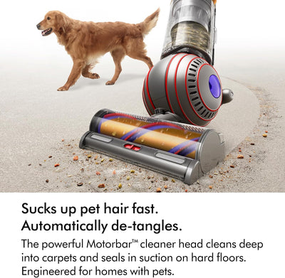 Dyson Ball™ Animal Origin Vacuum Cleaner, hair de-tangling, deep cleaning with pets (Nickel/Silver)