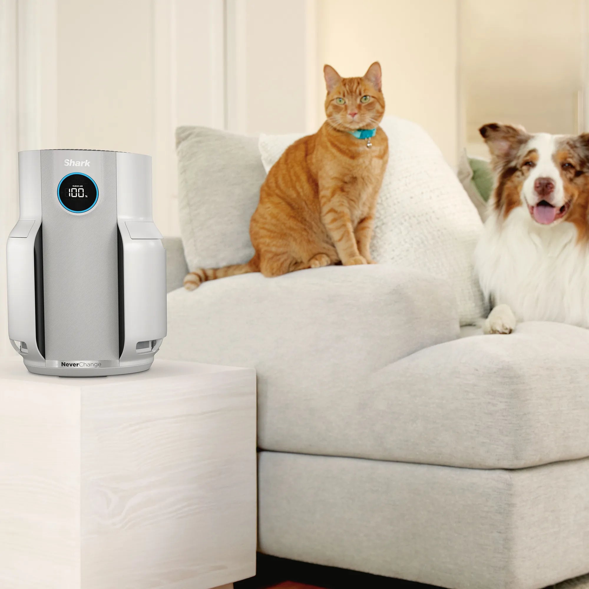 NeverChange5 Air Purifier