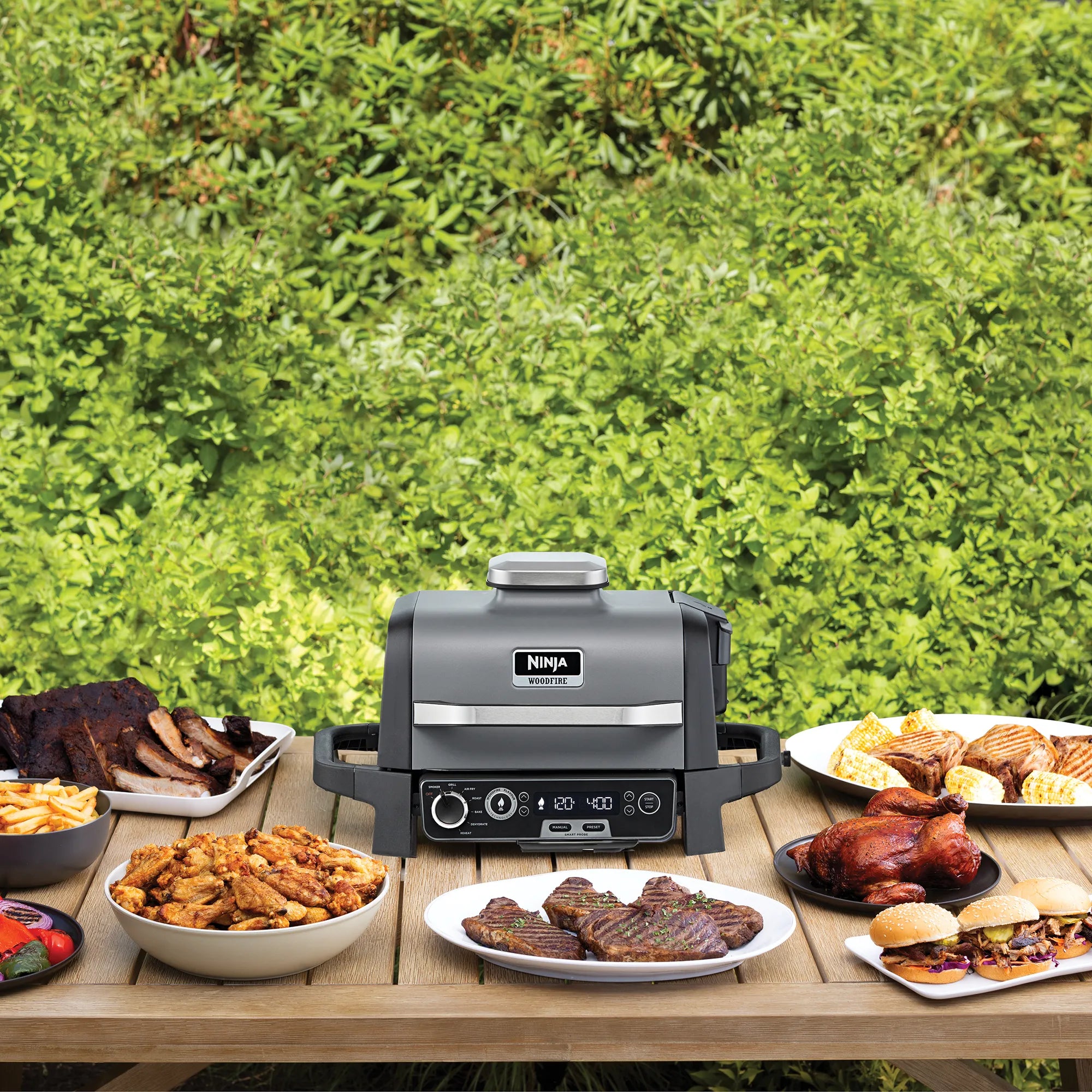 Woodfire Electric BBQ Grill & Smoker