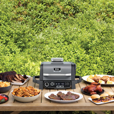 Woodfire Electric BBQ Grill & Smoker