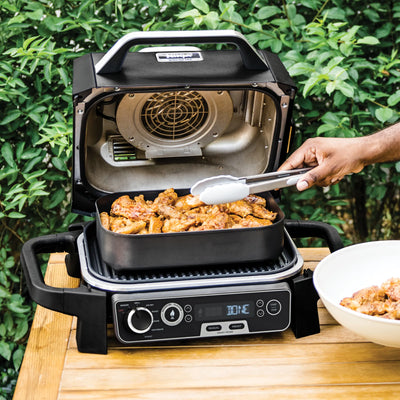 Woodfire Electric BBQ Grill & Smoker