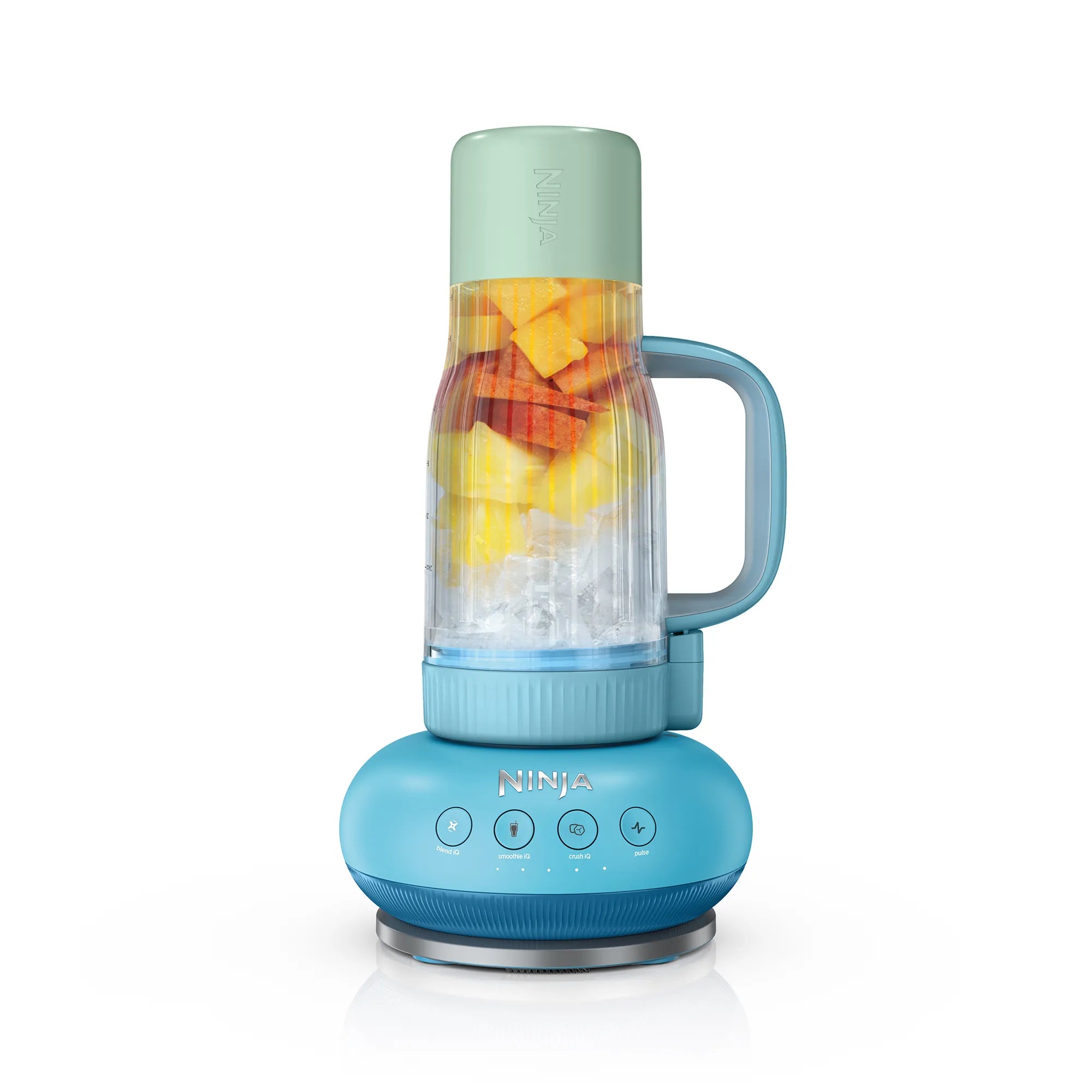 Ninja BlendBOSS Tumbler Blender
