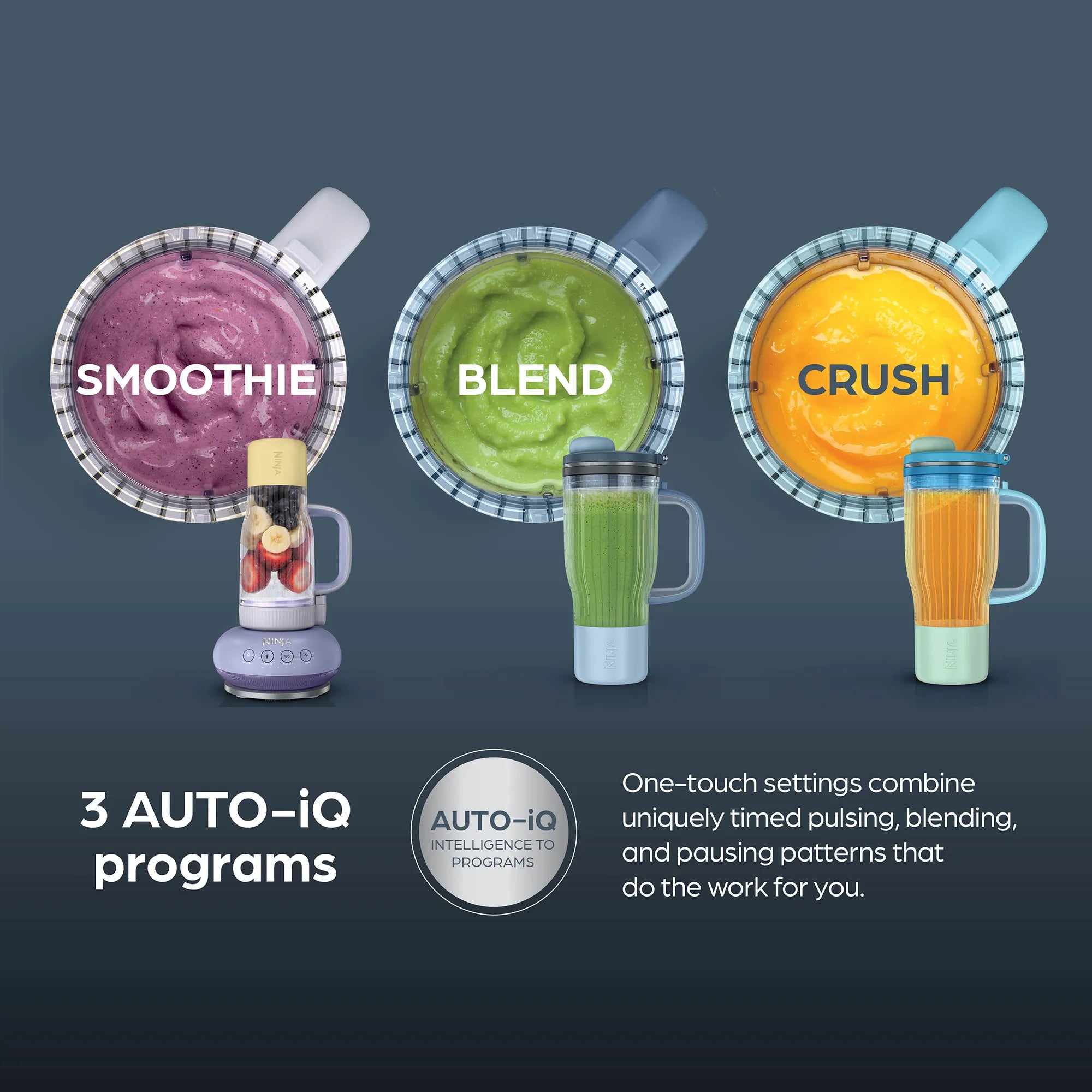 Ninja BlendBOSS Tumbler Blender
