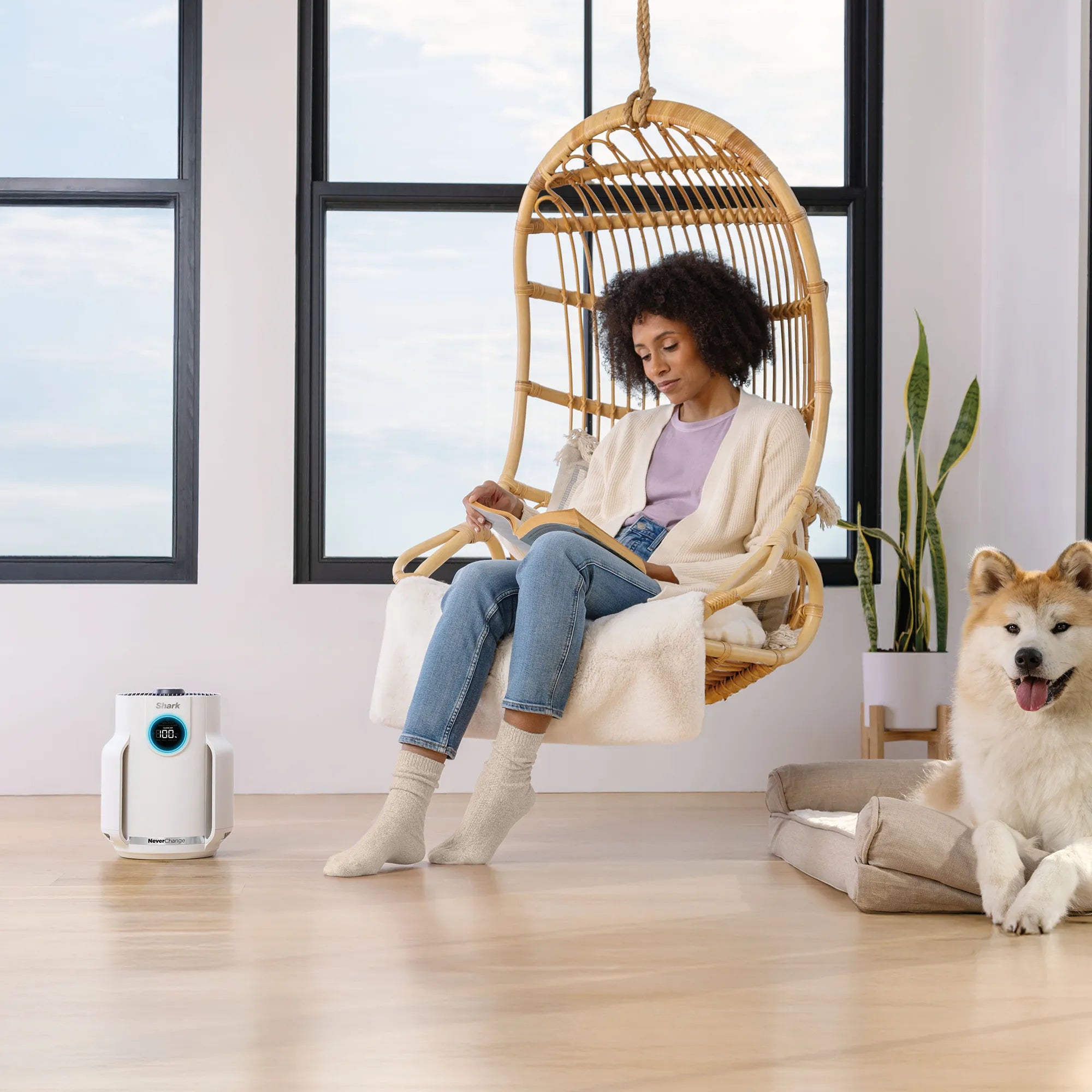 NeverChange Air Purifier Compact Pro
