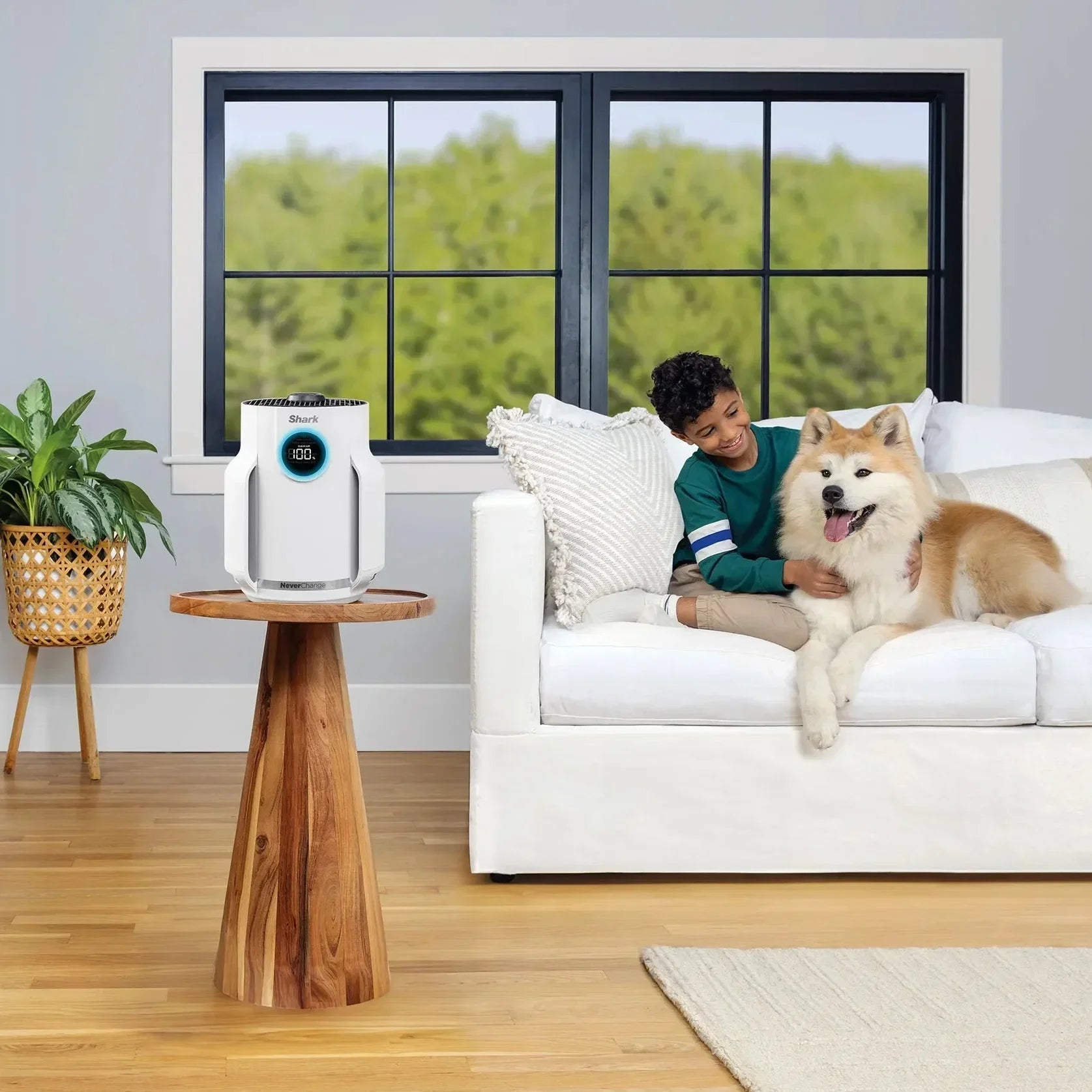 NeverChange Air Purifier Compact Pro